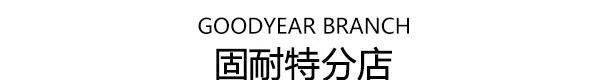 成功案例